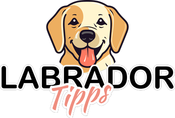 labradortipps.de